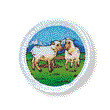 Sheep Unit Badge