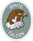 Discovery Rangers Advancement Patch - White Falcon