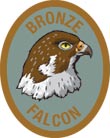 Discovery Rangers Advancement Patch - Bronze Falcon