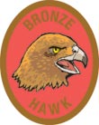 Discovery Rangers Advancement Patch - Bronze Hawk