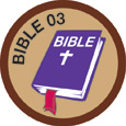 Bible Merit #3 (Brown)